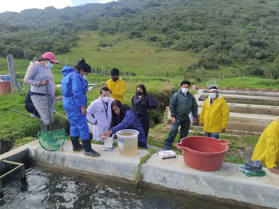 Fortalecimiento de Capacidades y Formación Acuícola