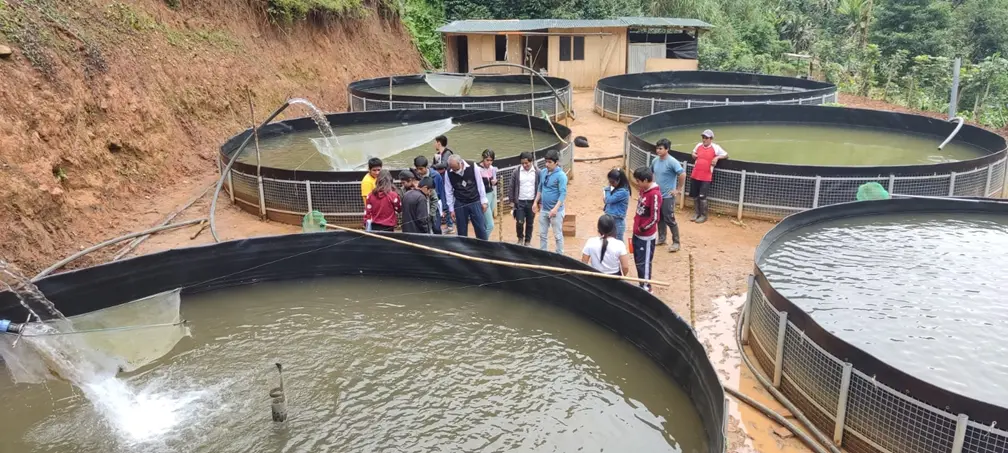 Innovación Tecnológica y Dietas de Valor en la Cadena de Trucha