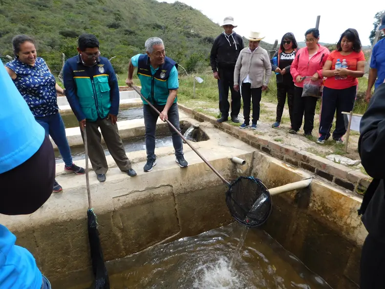 Sala de Re-incubación y Mejora del Engorde de Trucha